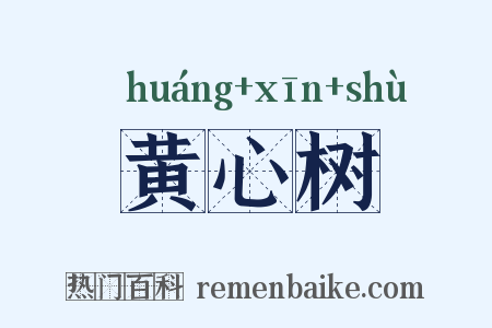 黄心树是什么意思的图片